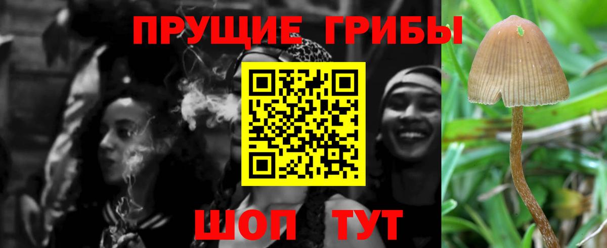 наркошоп  Галлюциногенные грибы ЛСД  Вход с VPN  Саратов  Галлюциногенные грибы Cubensis 